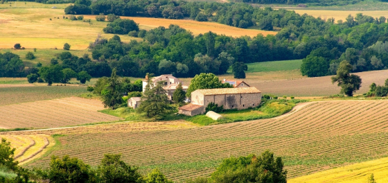 Campagne / semi-rural